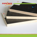 Dubai Best Quality Supplier Poplar Core Black Brown Film Faced Plywood